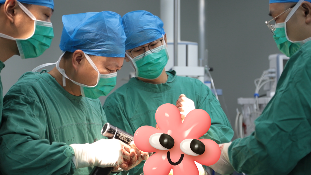 守护银龄步履：为92岁高龄患者实施人工双动头髋关节置换术